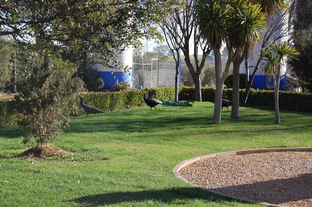 Hotel El Cortijo De Daimiel Exterior photo